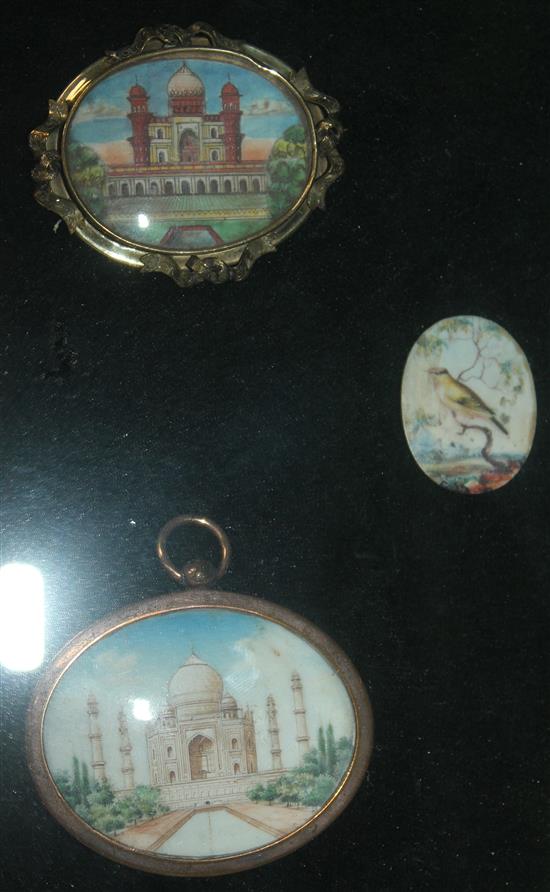 A collection of ten Indian oval painted miniatures, overall 17 x 14in.